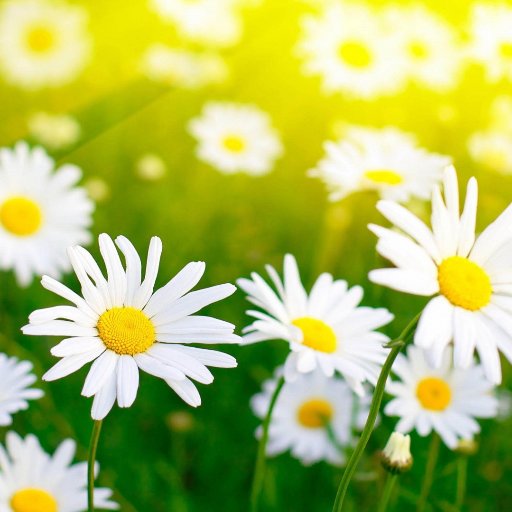 UKlaudia1992's profile picture. I am a big fan Formula 1. The most Fernando Alonso ♥
What you seek is seeking you ♥