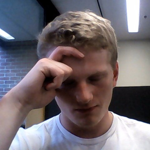 FSUbralbu's profile picture. 