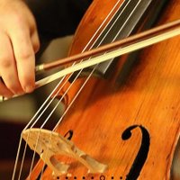 MohawkTrail Concerts (@mohawktrailmuse) 's Twitter Profile