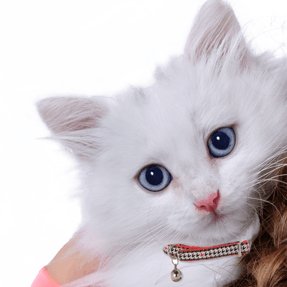 AnuAthria's profile picture. 