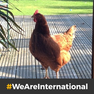 CASmith41's profile picture. Work @AbertayUni  #loveHE 
Trustee @PKCTrust 🌳💚 
Also stuff about chickens, cycling, running, camping and travel. Tweeting in a personal capacity.