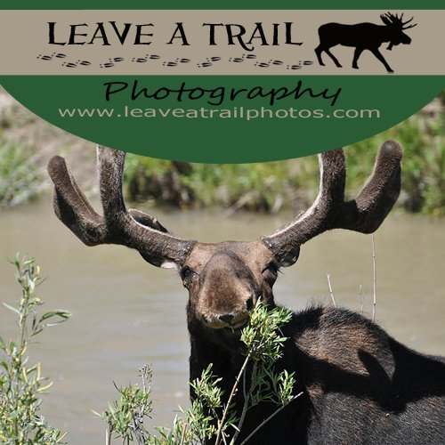 Leave a Trail Photography