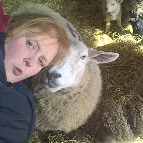 Lecturer in Medical education, part time sheep farmer and scientist.