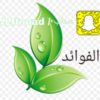 الفـــــوائد(@ALffouad) 's Twitter Profile Photo