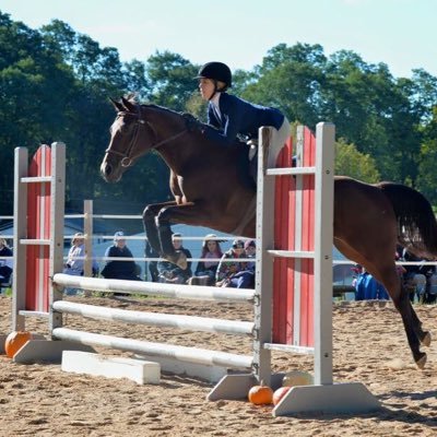 WiscEquestrian's profile picture. Find us on Instagram too! @WiscEquestrian