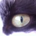 pudumimu (@umursunur) Twitter profile photo pudumimu (@umursunur) Twitter profile photo