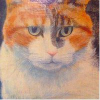 Rungus (@runguscc) 's Twitter Profile