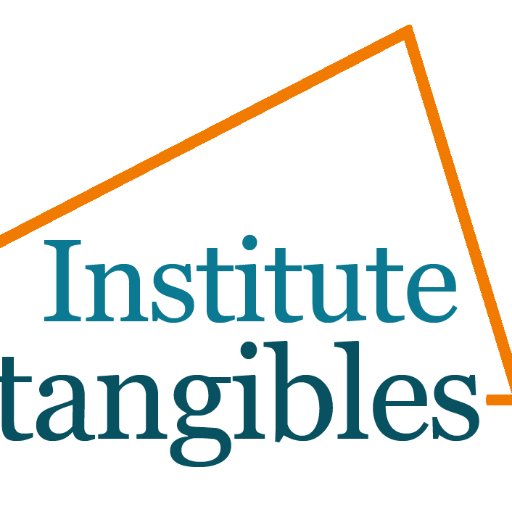 Red social del Instituto de Intangibles