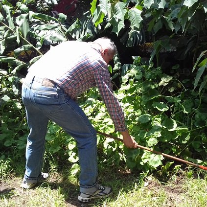 agrourbandf's profile picture. Iniciativas creativas para problemas reales y actuales :)