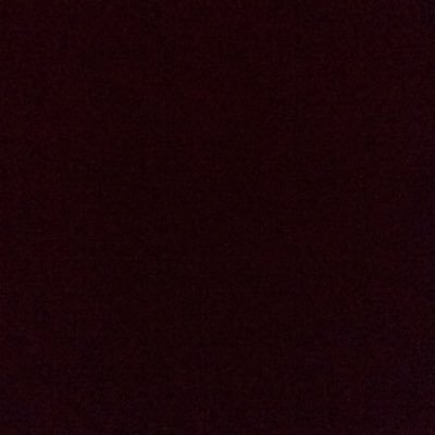 nancypaz83's profile picture. 😂😂😂