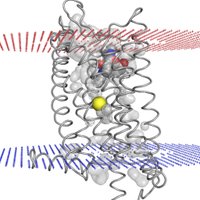 Patrick Giguere (@thegiguerelab) 's Twitter Profile Photo Patrick Giguere (@thegiguerelab) 's Twitter Profile Photo