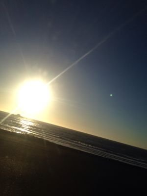 Honey88218555's profile picture. 