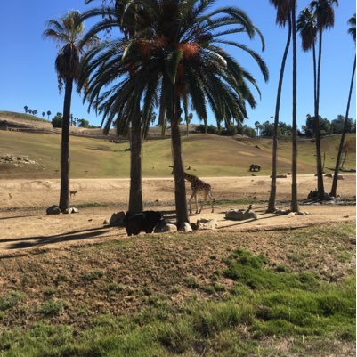 PlanetPluto75's profile picture. 