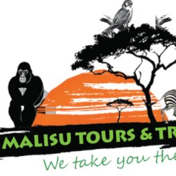 InfoMalisu's profile picture. The best  tours & travel company in Uganda . We take you there