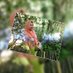 sriwati (@sriwattyyy) Twitter profile photo sriwati (@sriwattyyy) Twitter profile photo