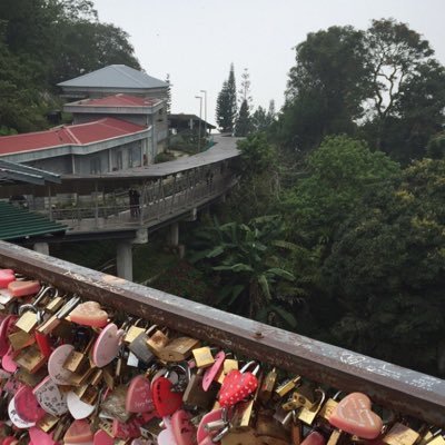 m_alabdullah92's profile picture. لا نكتمل بأحد ولا نضيع من دون أحد نسعد بمن بقى وننسى من نسى ..