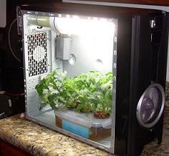 Interested to learn how to start or own your indoor grow box today?