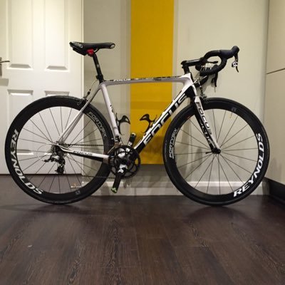 marknrayner's profile picture. 