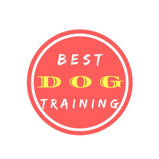The latest dog training tips and techniques shared to solve your dog behavior problems.