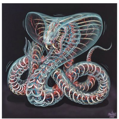 ThorkellJom's profile picture. 