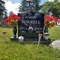 Nathan Sorrell (@nathansorrell7) 's Twitter Profile
