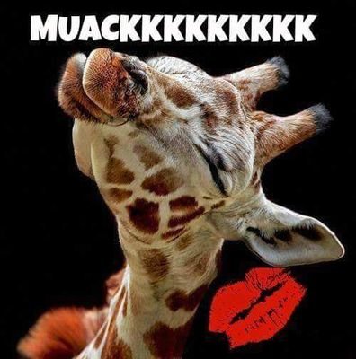 pazo_moreno's profile picture. Me río de mi me misma