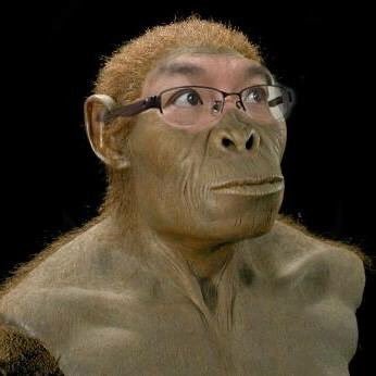 kato_takafumi's profile picture. 2025年4月から、岡山理科大学　恐竜学科の教員になりました。