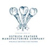 Ostrich Feather (@ostrichfeath) 's Twitter Profile
