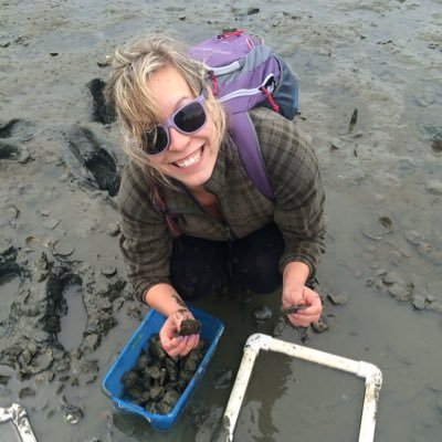 BivalveFanatic's profile picture. Masters student | UW | SAFS | Roberts Lab | Larval shellfish tracker in the Becker Lab