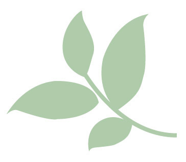 WeMigrate's profile picture. 