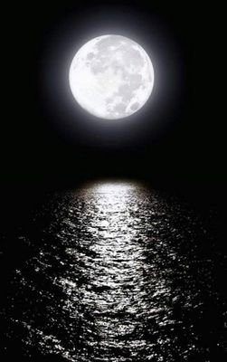 simplyshujat's profile picture. I don't care for Likes and RT.