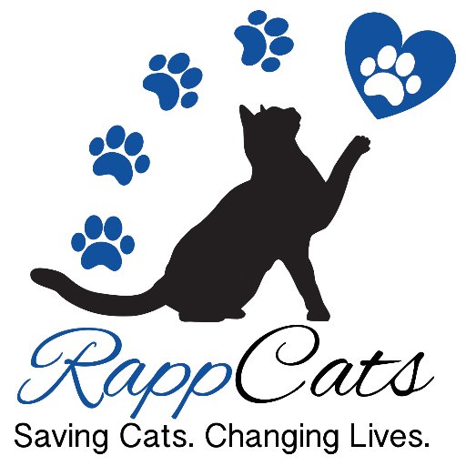 RappCatsAdopt Profile Picture