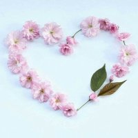 أم يـزيــد 🇸🇦 🇸🇦 (@umm_yazeed) Twitter profile photo