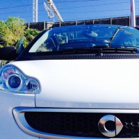 YoshiHonjo (@momo0sma) 's Twitter Profile