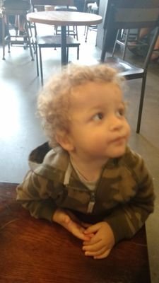 clauzannuzzi's profile picture. 