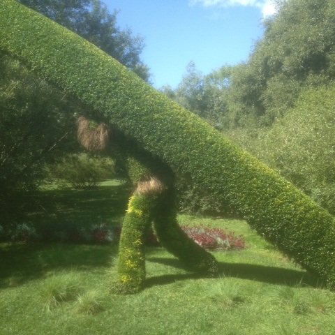 champbotTBD's profile picture. RC lake monster, maker, just trying to swim straight