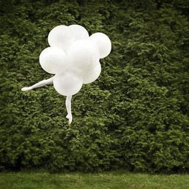 daniholtzman's profile picture. 