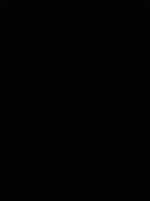 eirik_myren's profile picture. 