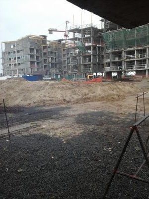 glaseo_17's profile picture. 