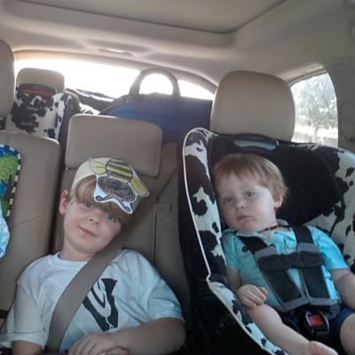 angelicareedy's profile picture. 