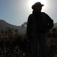 Prof. Susan Webb (@geophysicswebb) 's Twitter Profile