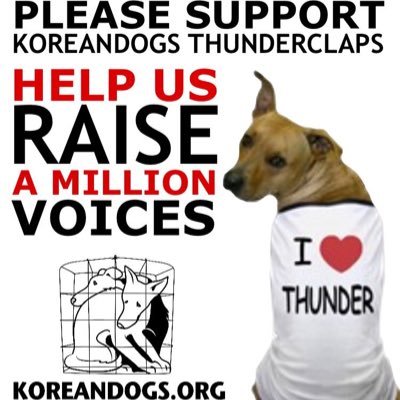 #ENDDOGMEATTRADE #STOPYULIN #STOPBOKNAL ❌BOYCOTT #Asia ⛔️ #DogmeatTrade #Leather #Fur // ♥⭐Follow @koreandogs ⭐ @savekoreandogs #NamiKim 🌟 🆘🐕🐈🆘