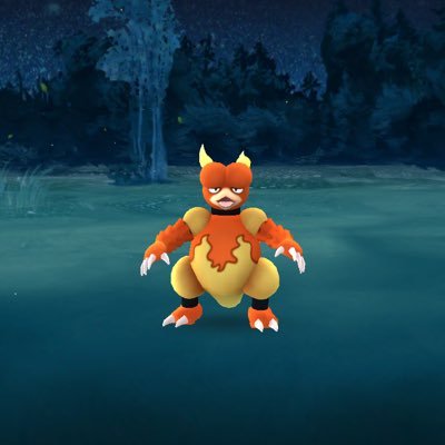 William60775849's profile picture. I like turtles