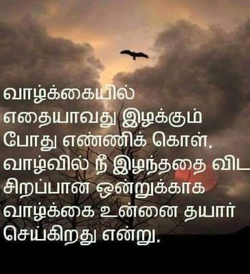 bala5889's profile picture. driver I love  long drive