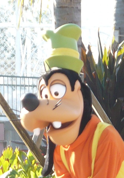 Goofy823's profile picture. 