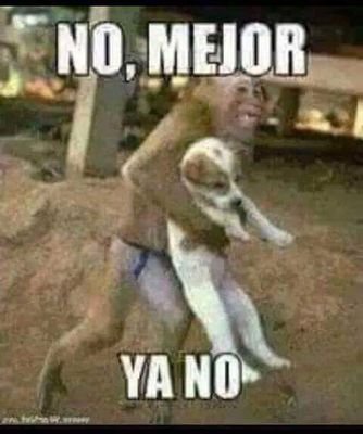 Pandebono11's profile picture. 