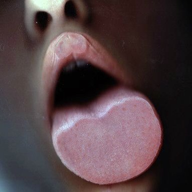 MrsFurstemberg's profile picture. Non ho superato la notte.
https://t.co/gNP74Nbtnd