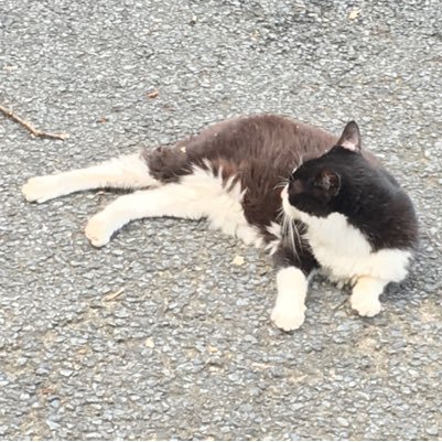 lm_158's profile picture. 