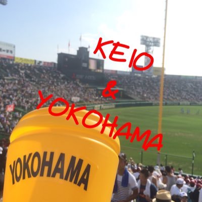 yokokogijyuku Profile Picture