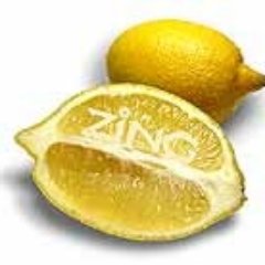 Does your business need leadership & management training? Zing are specialists in Corporate Management Sales & Training Programs - CALL US 0117 959 4135